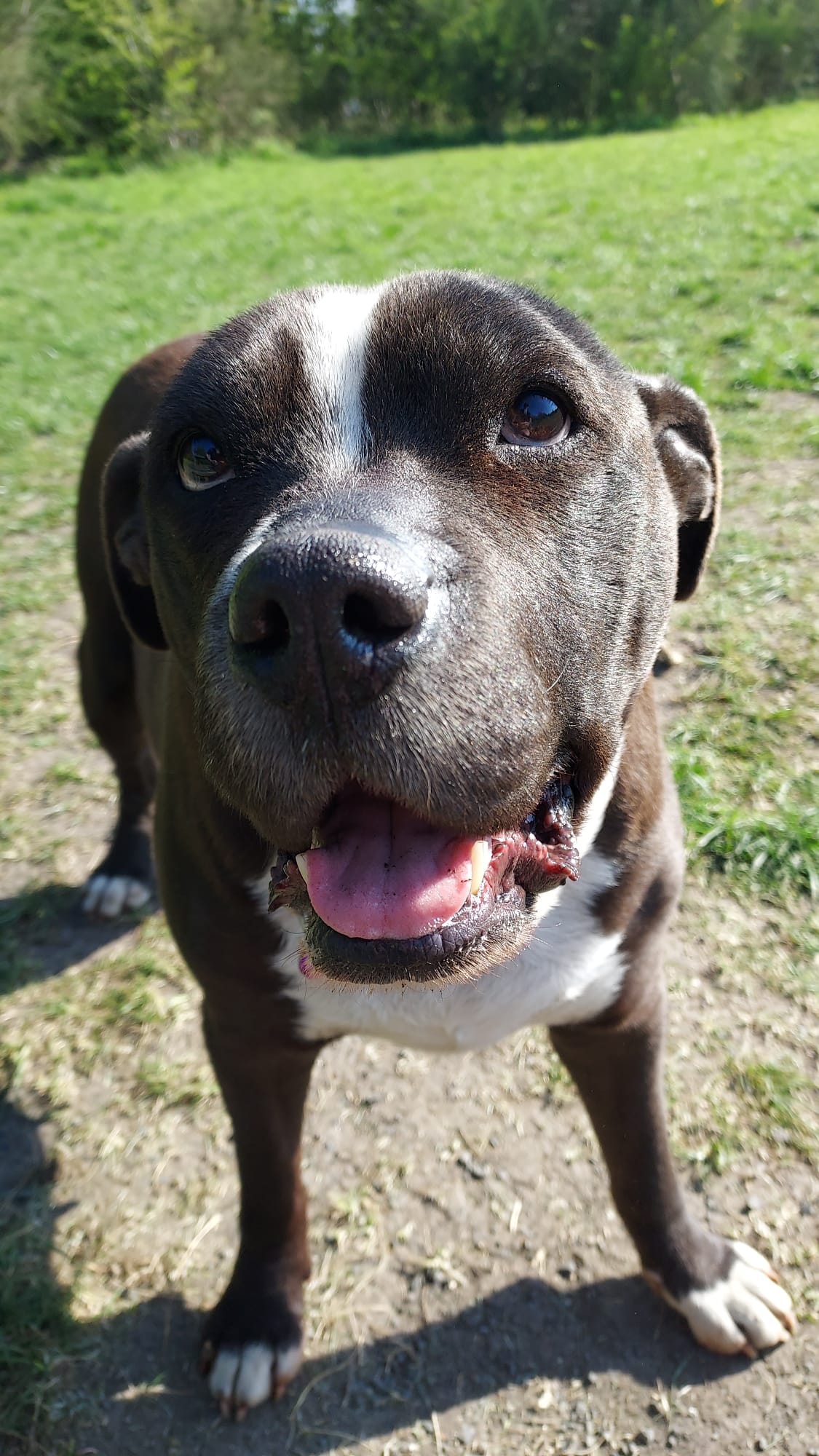 Past Poundie: Lily-Mae