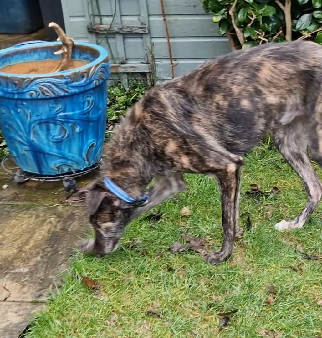 WhatsApp Image 2026-01-30 at 08.13.35