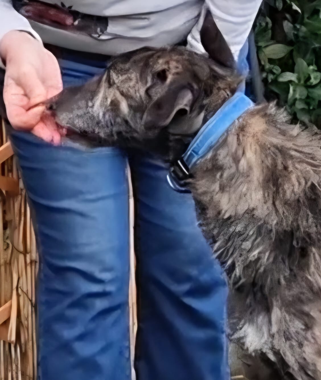 WhatsApp Image 2026-01-30 at 08.15.00