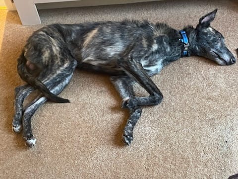 WhatsApp Image 2026-02-01 at 12.23.04