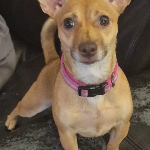 Minnie